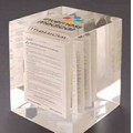 Acrylic Cube Embedment Award (3"x3 1/2"x3")